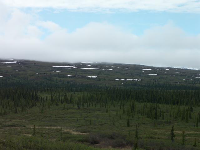 The view along the Denali Highway I