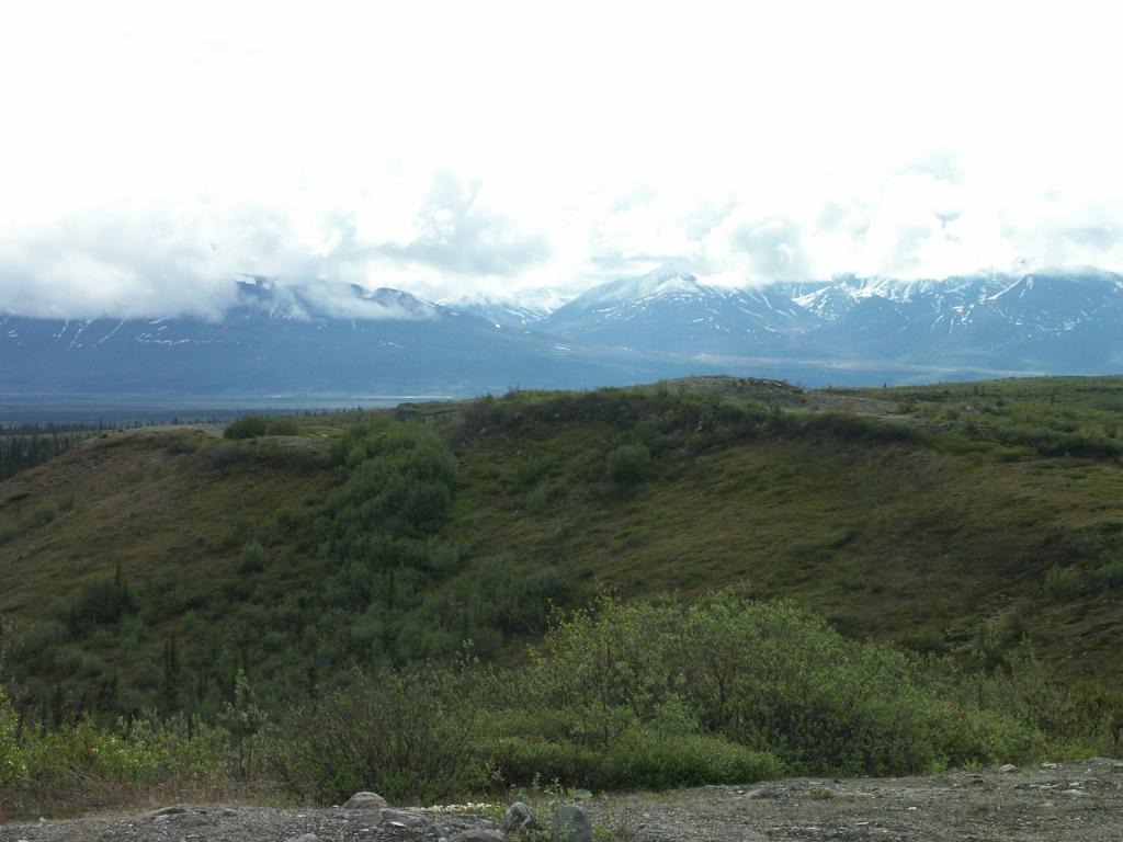 The view along the Denali Highway II