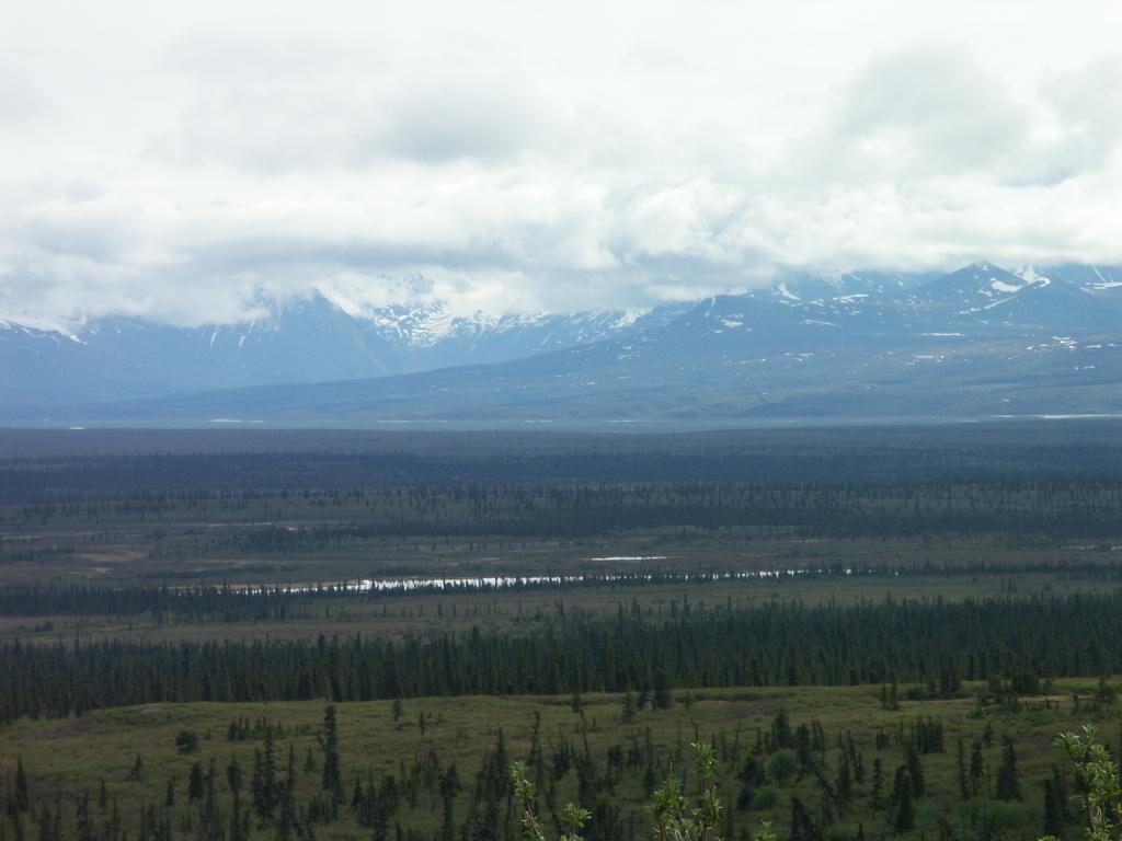 The view along the Denali Highway III