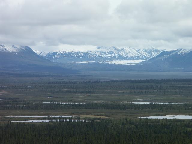 The view along the Denali Highway V