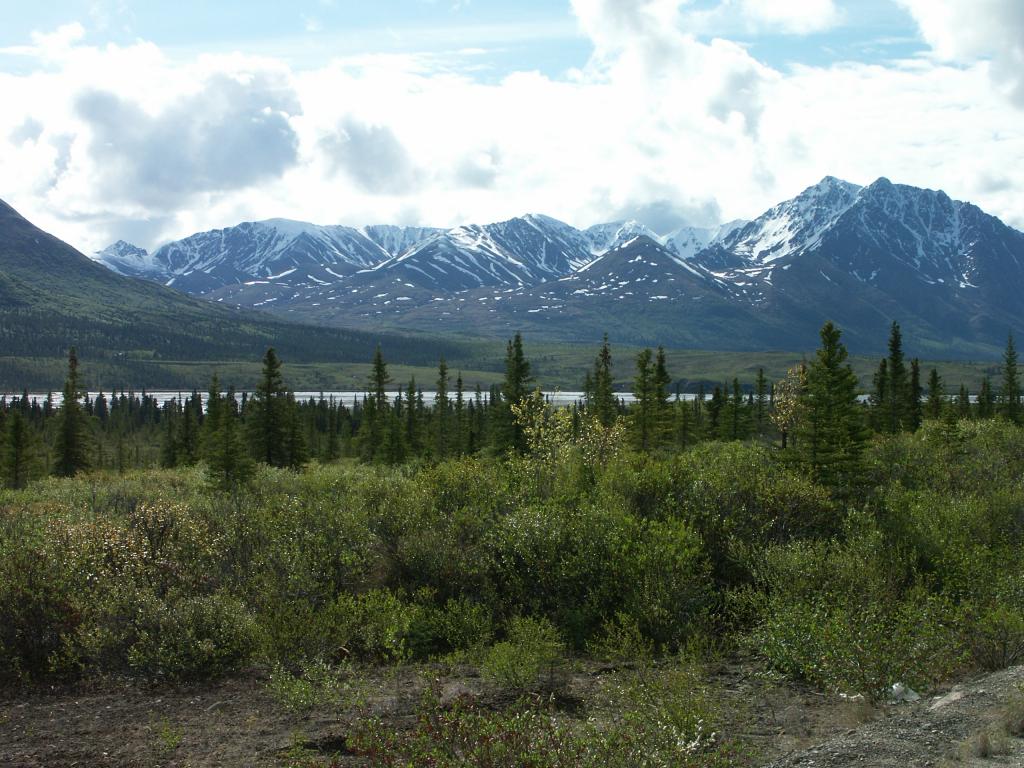 The view along the Denali Highway VII