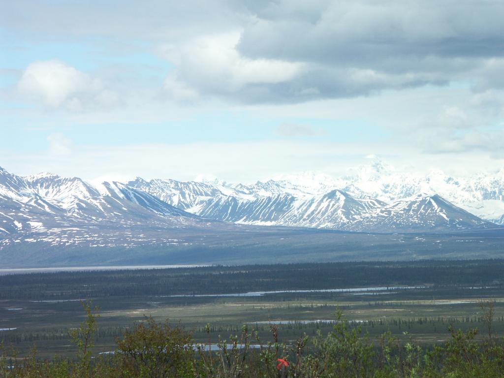 More view from the Denali Highway.