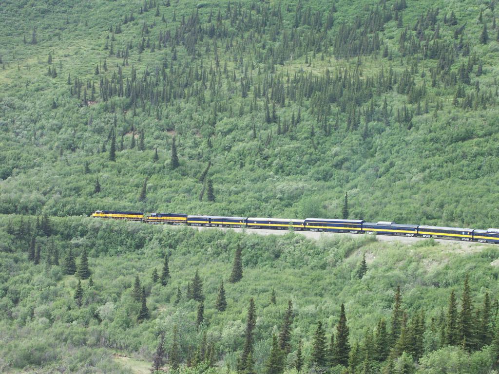 The Alaska Railroad just North of Denali Park.