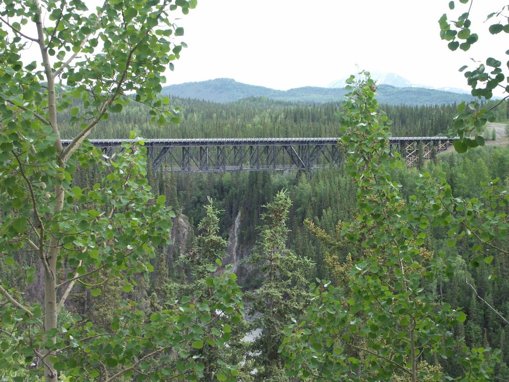 The bridge over the gorge.