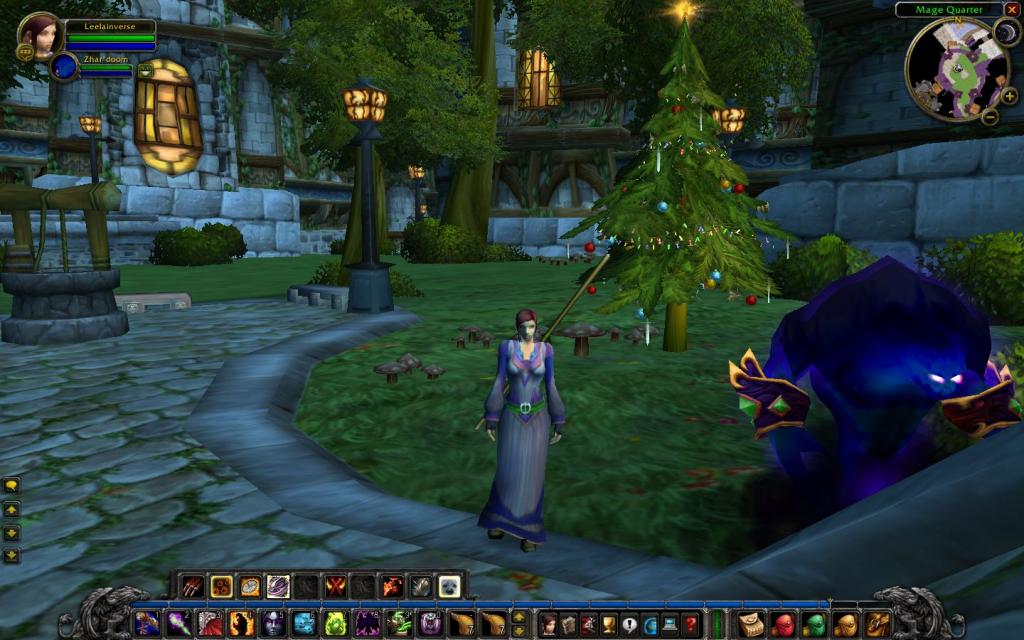 Me and my pet in the Mage Quarters at Christmas time
