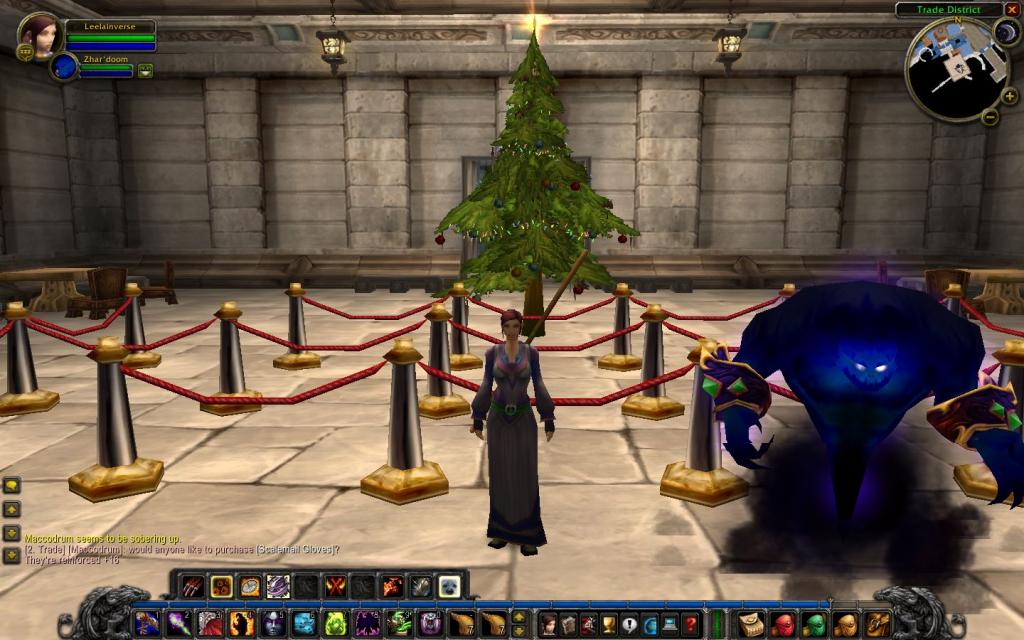 Me and my pet in the Stormwind bank at Christmas time