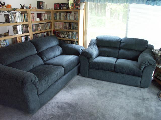 My new couch and love seat.