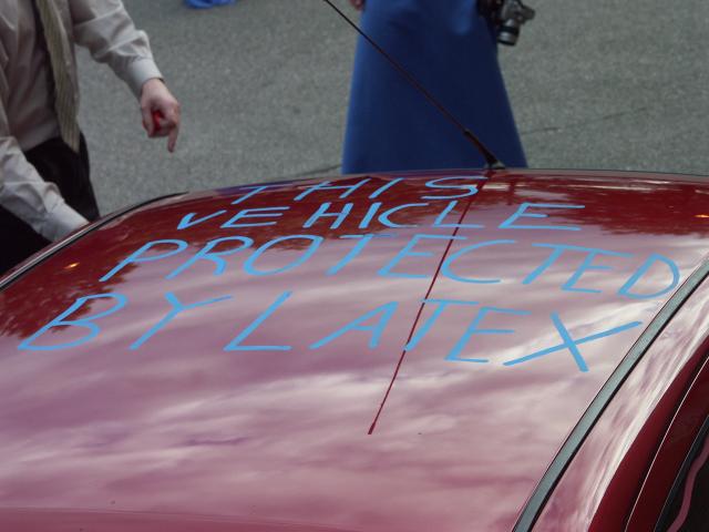The roof: "This vehicle protected by latex"